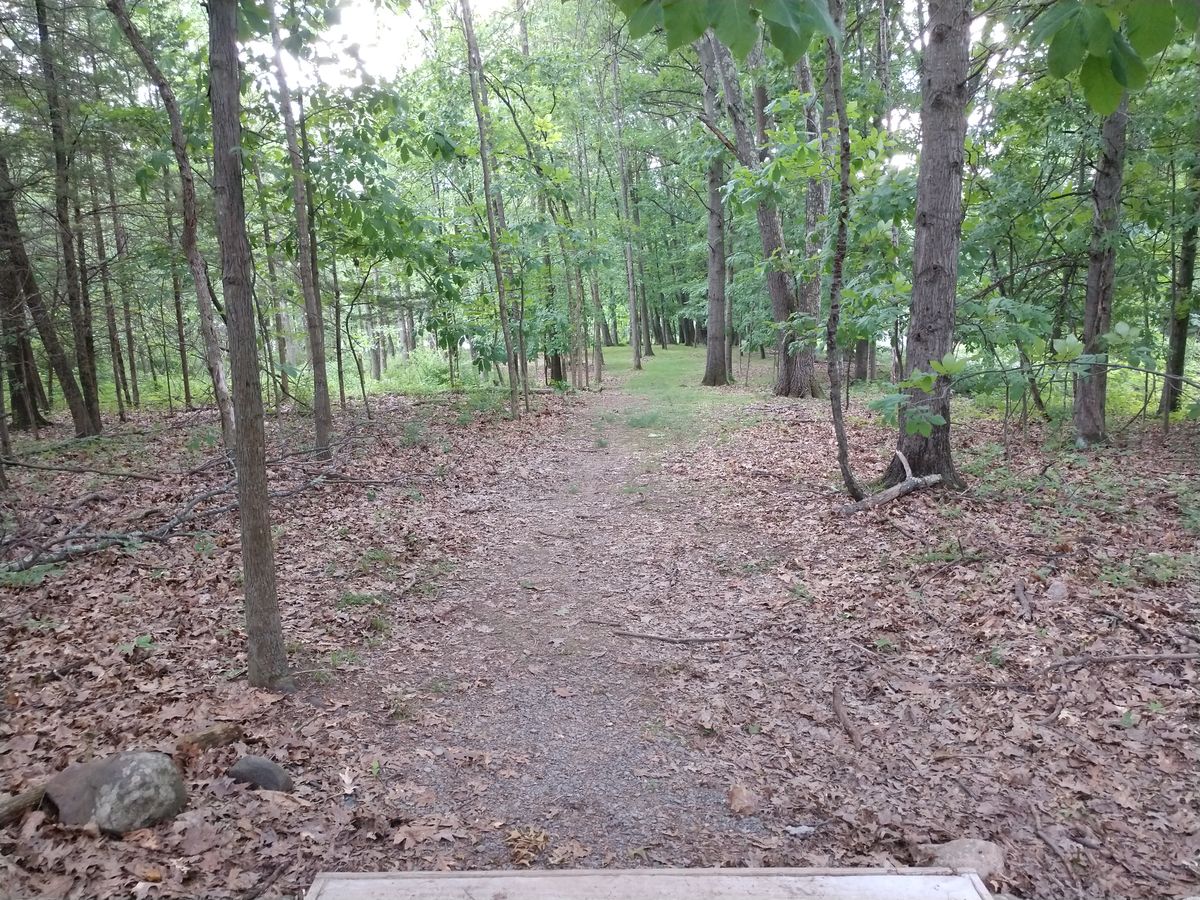 Hole 5