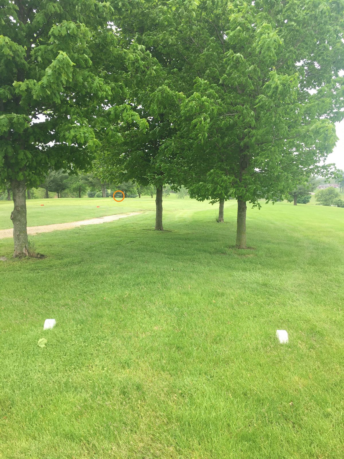 Hole 15 from the tee box