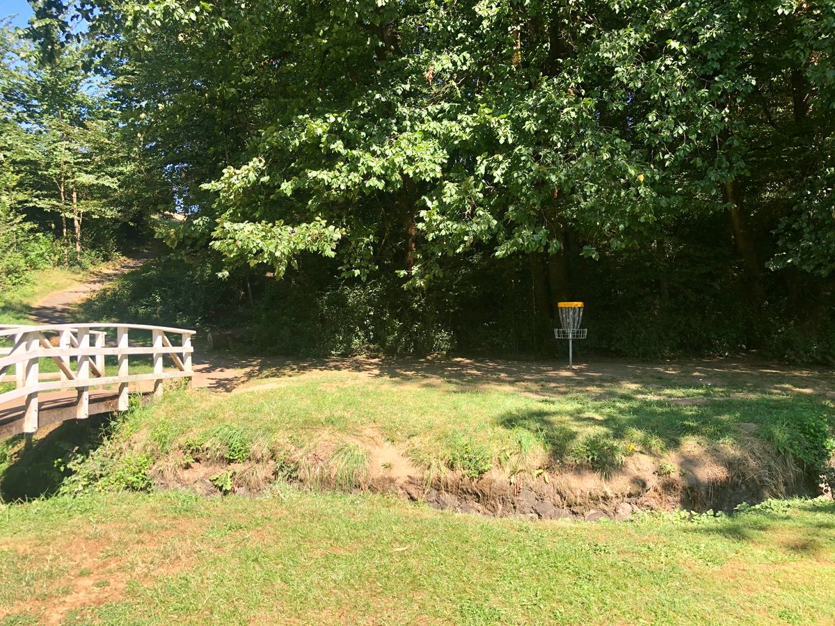 Hole 8 basket