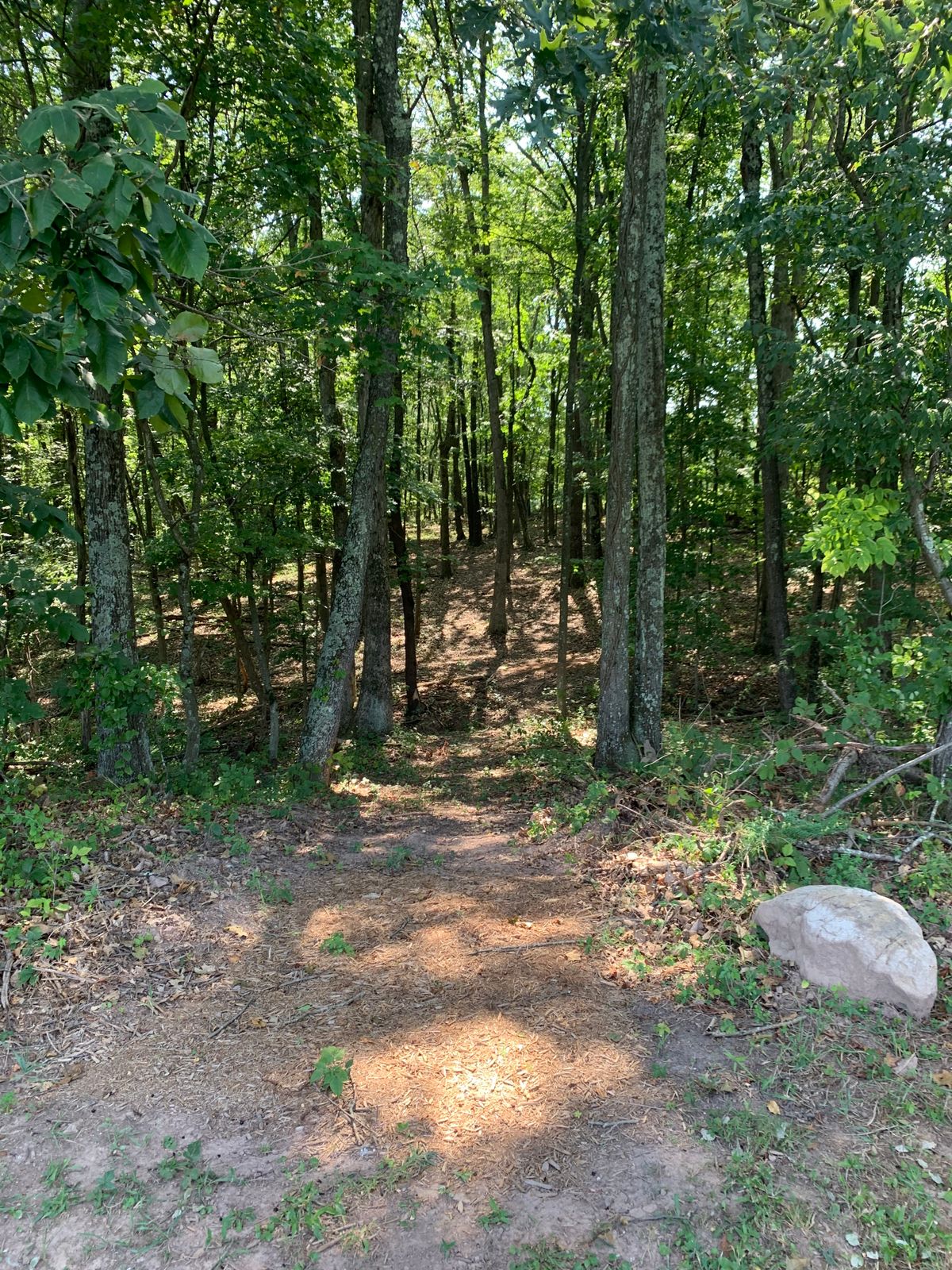 Long tee for hole #5. Basket is to the left up on the hill.