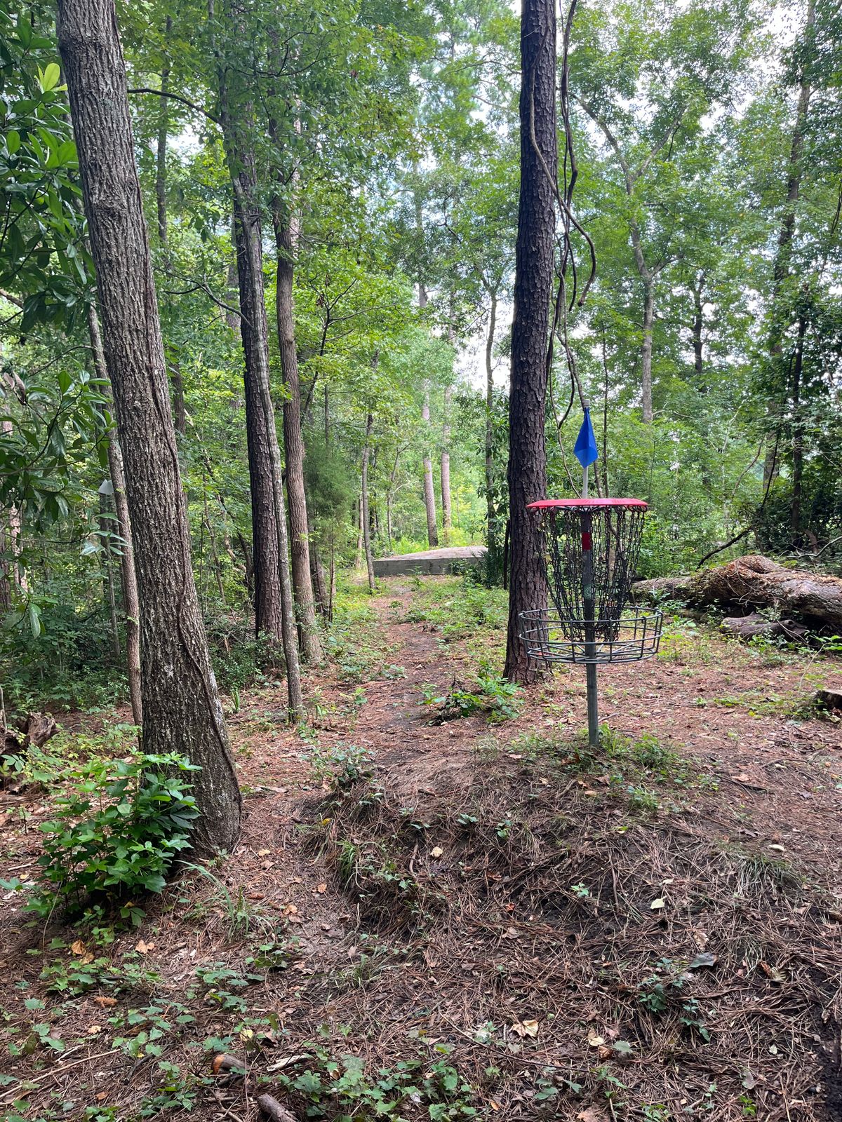 Hole 6/15