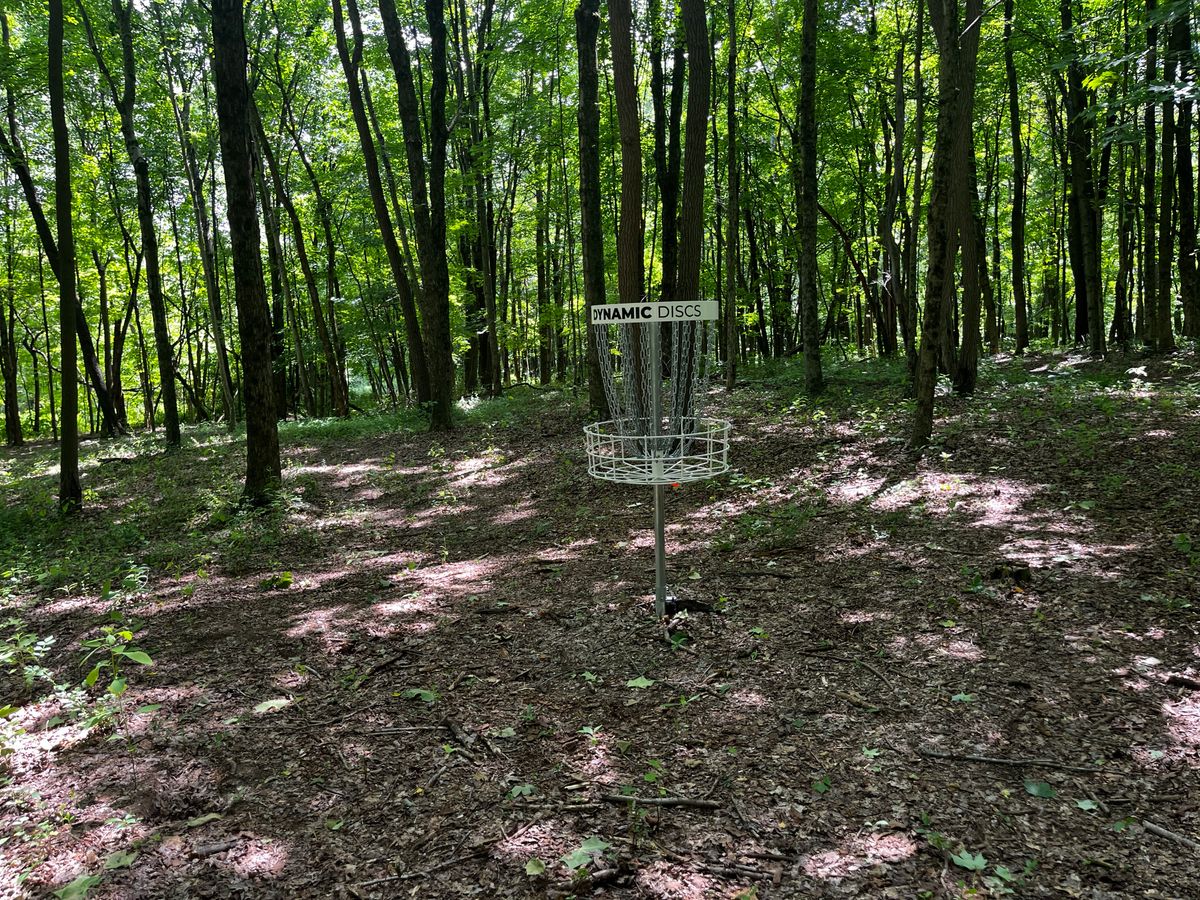 Hole 5 green