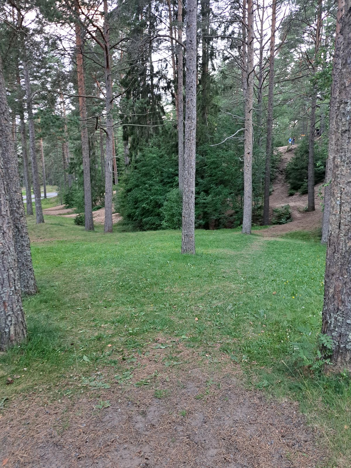 Väylä 17 tii