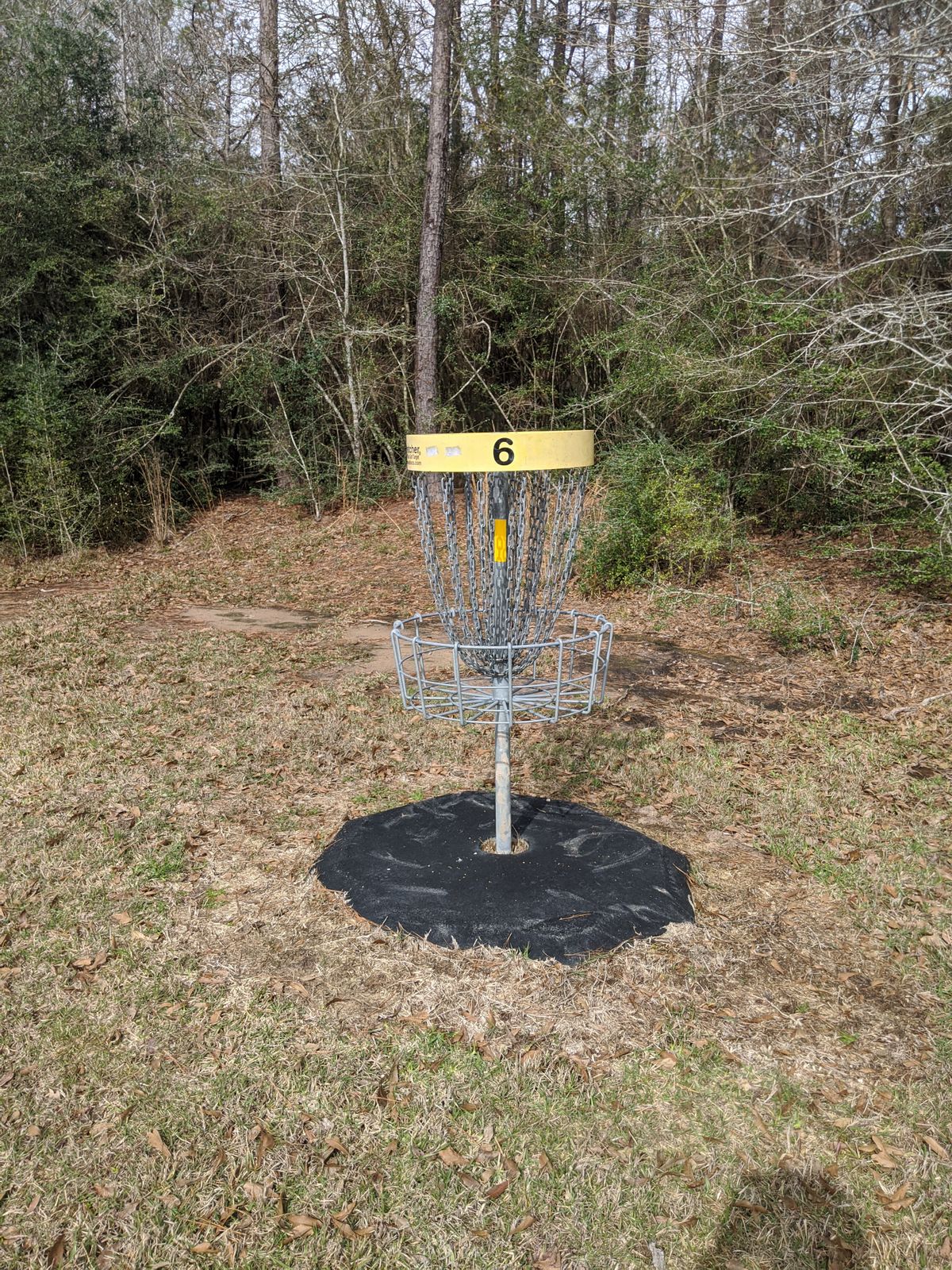 Hole 6 Basket