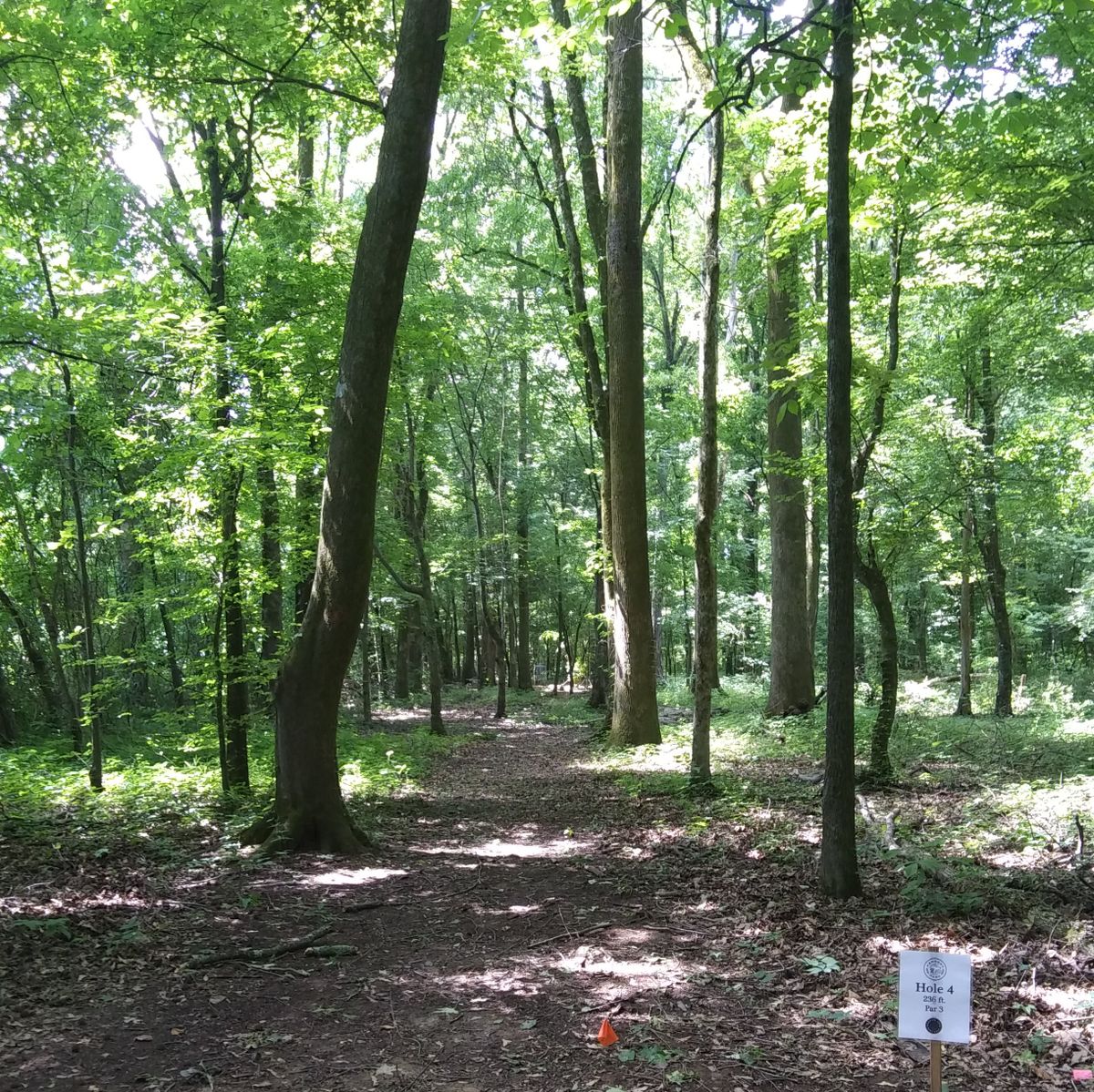 Hole 4's Tee pad.