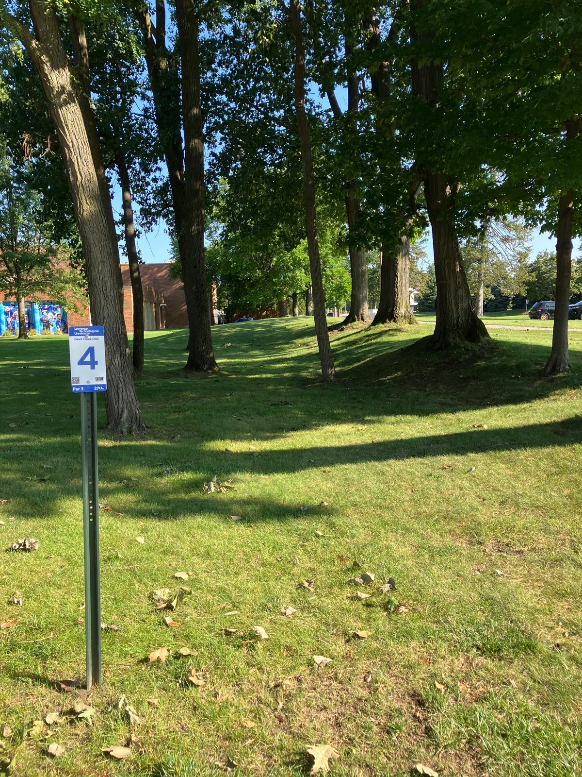 Hole 4