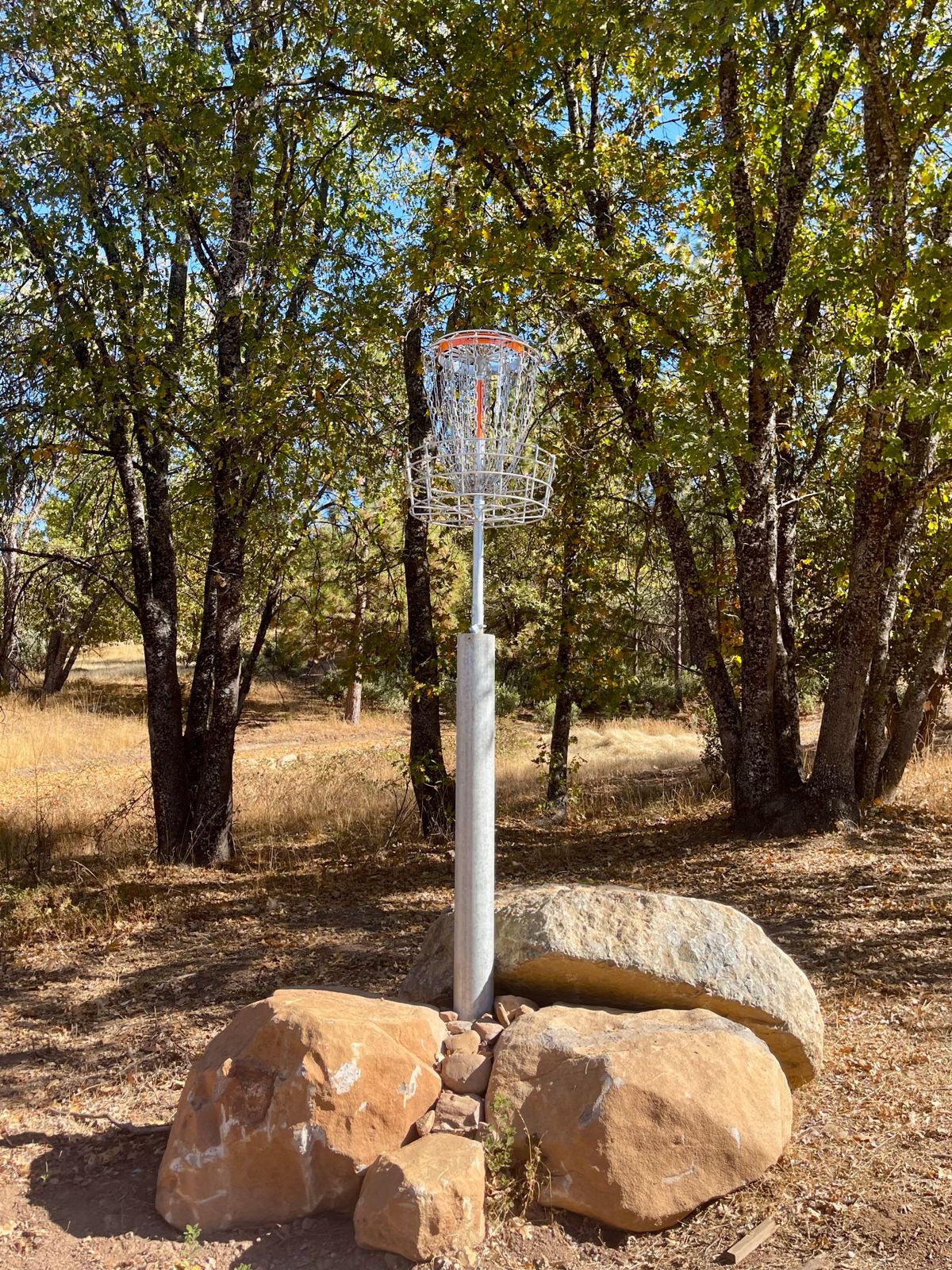 Highest basket I’ve ever played! Must’ve been 12’ high