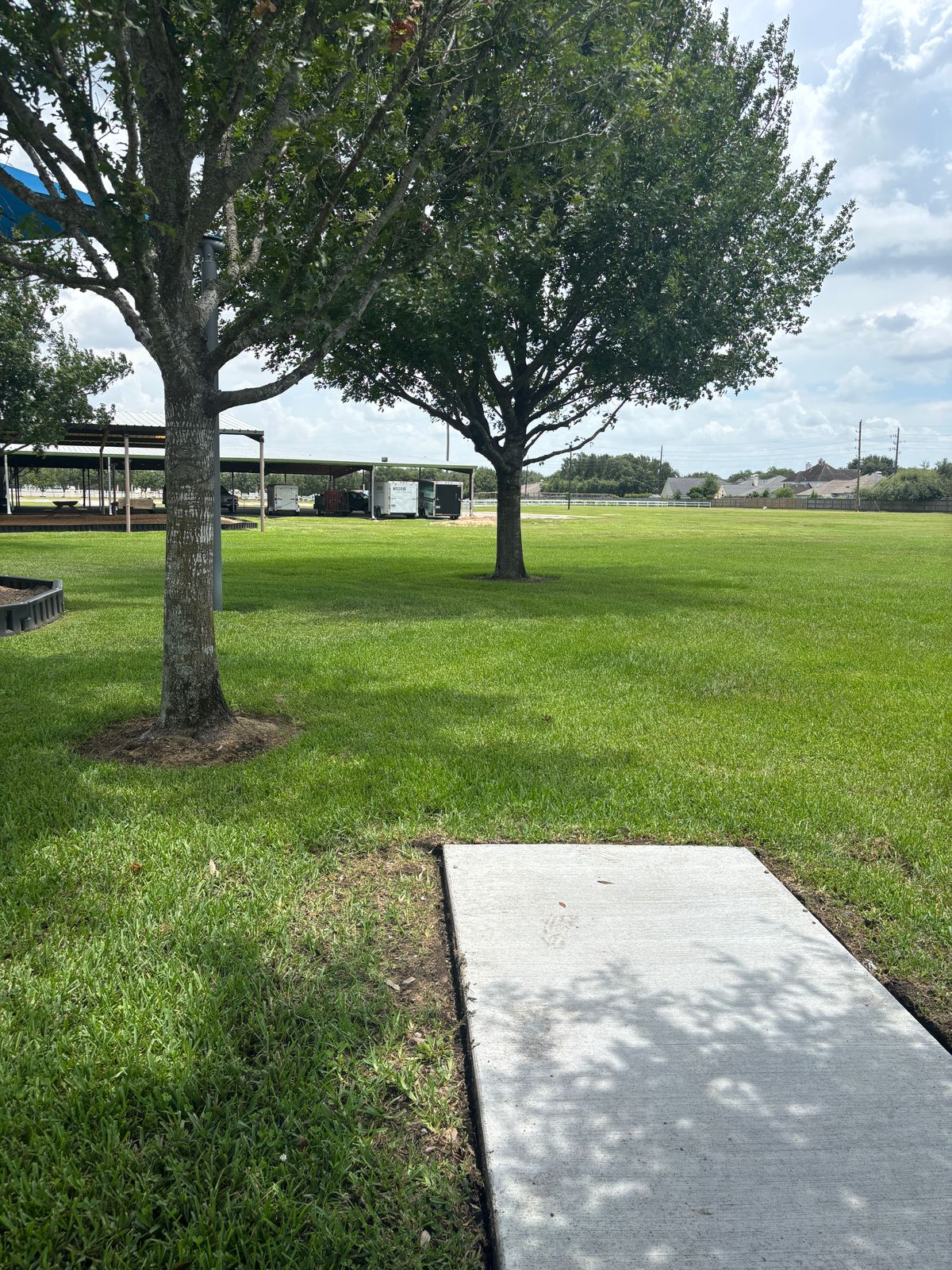 Hole 6 tee to basket