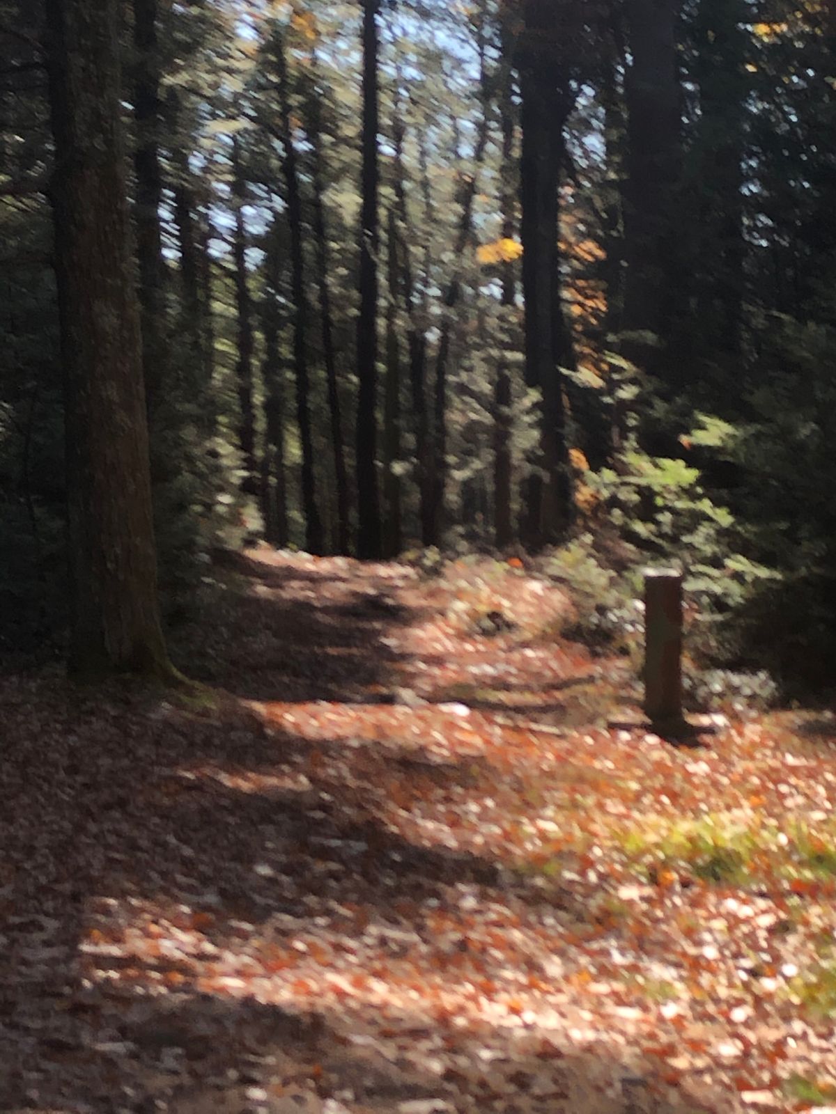 Hole 3
