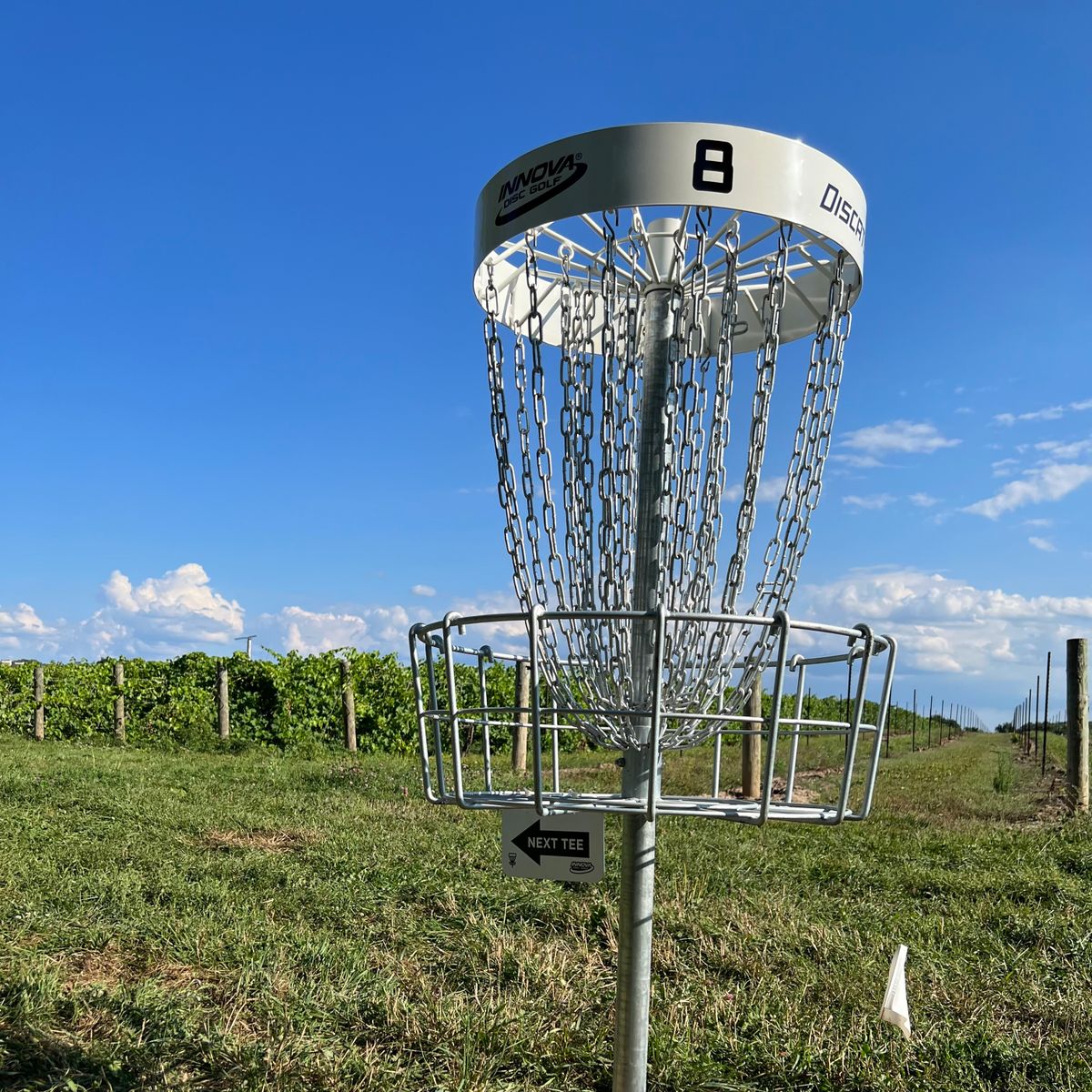 Discatcher 8 - next to the vineyard.