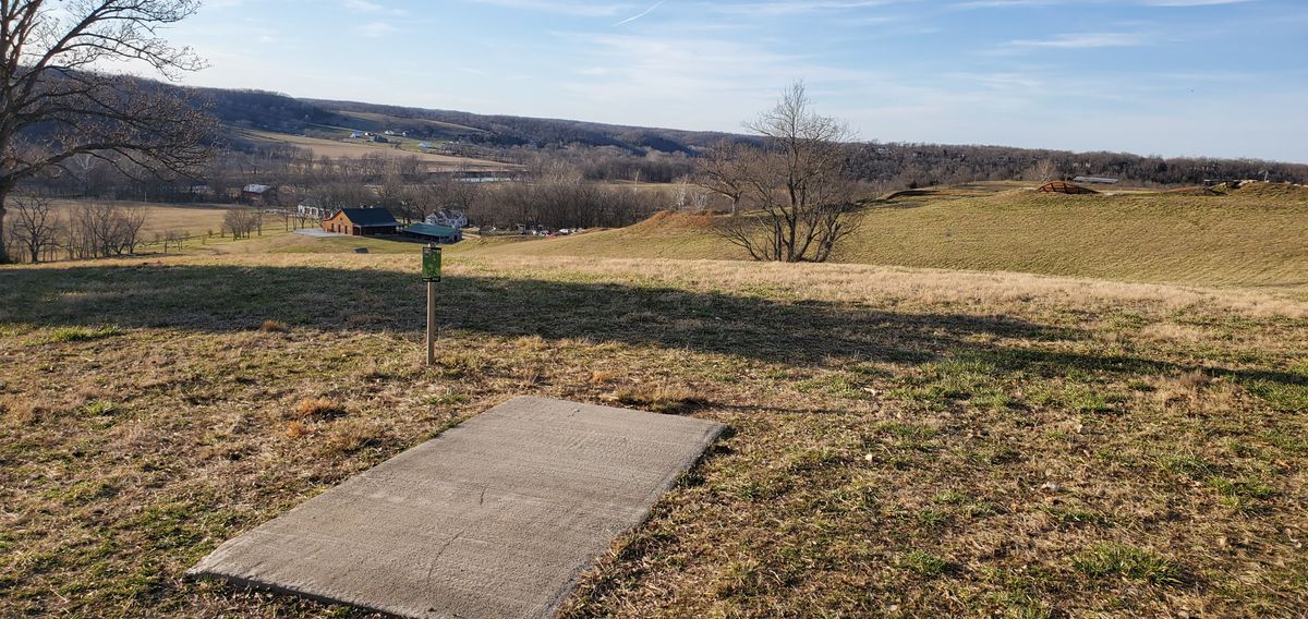 17th hole tee pad with basket in the distance.