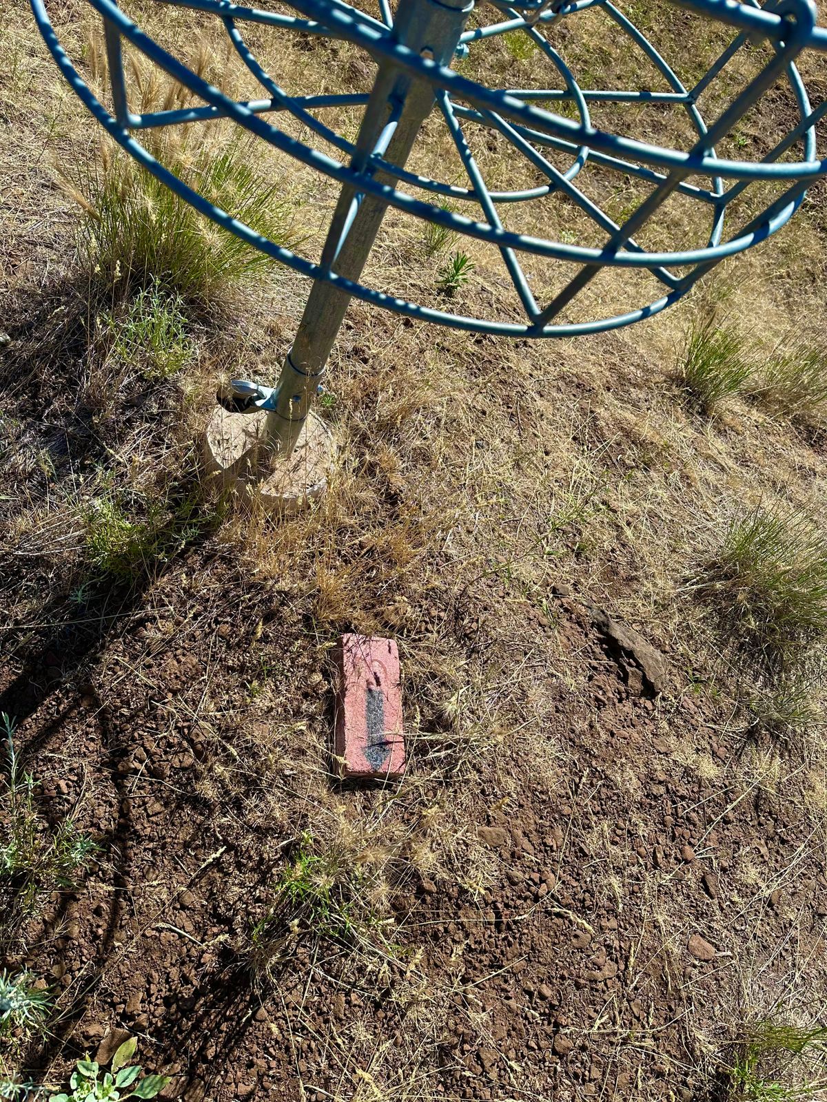 Tee “Area” way marker at most baskets