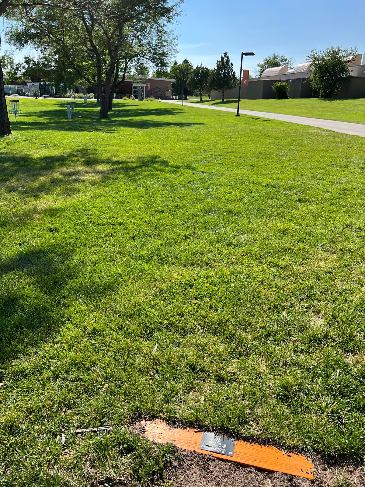 Hole 6 tee