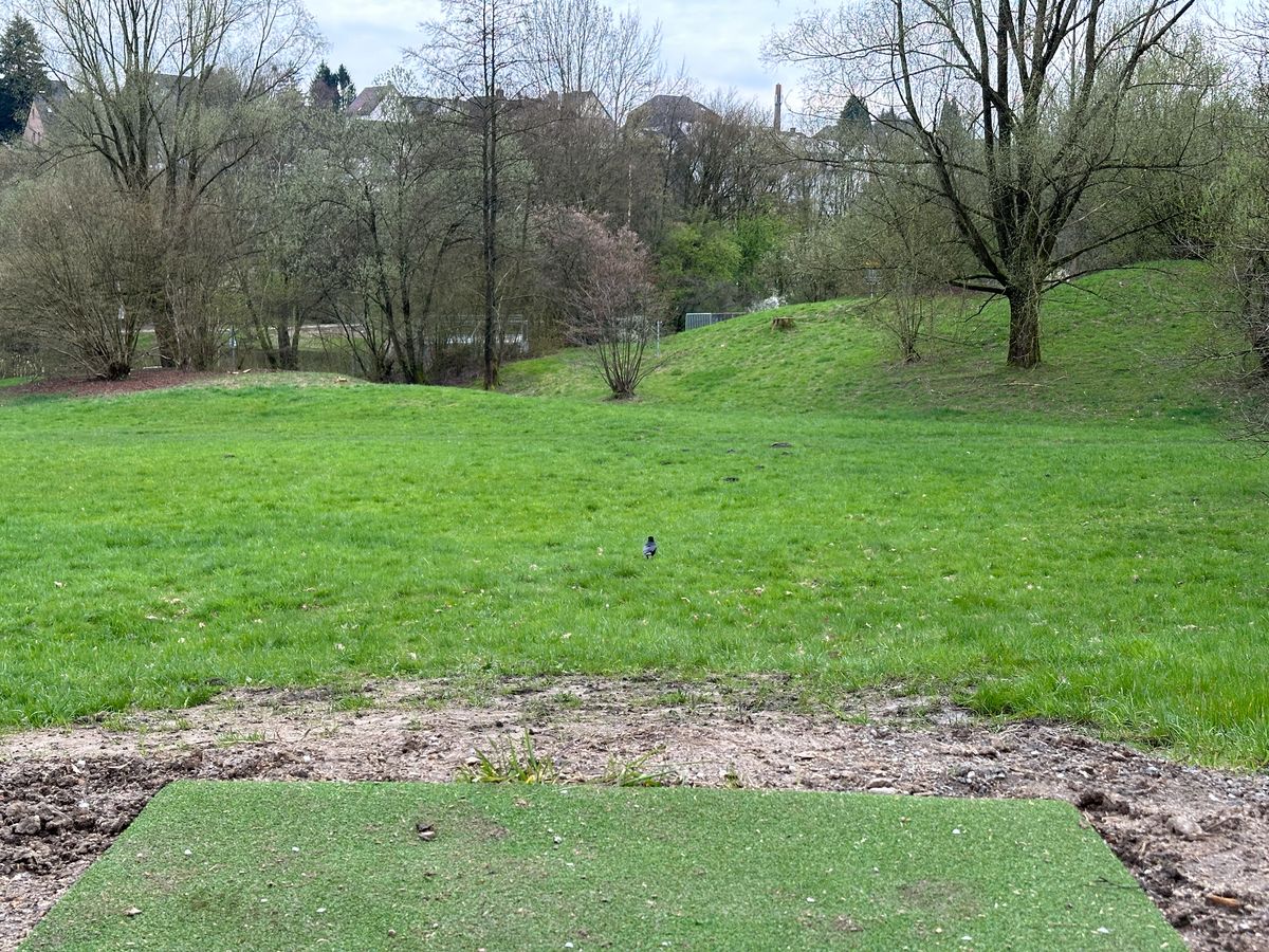 Tee 5