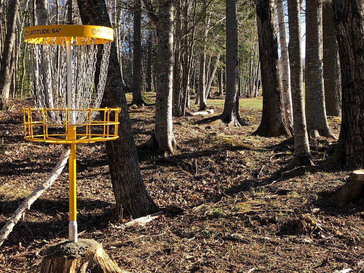 “Stumped”. Hole 13