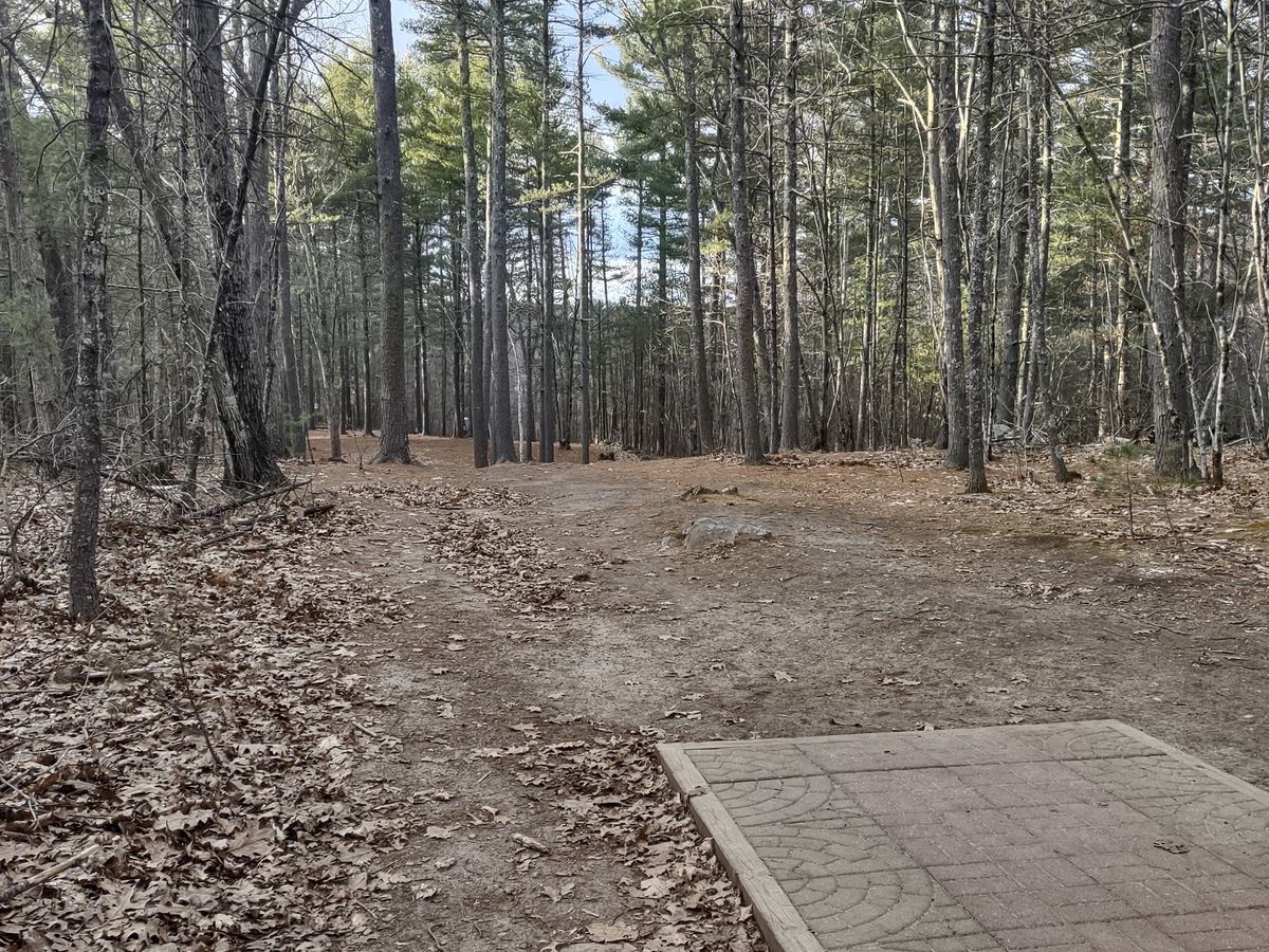 Hole 12