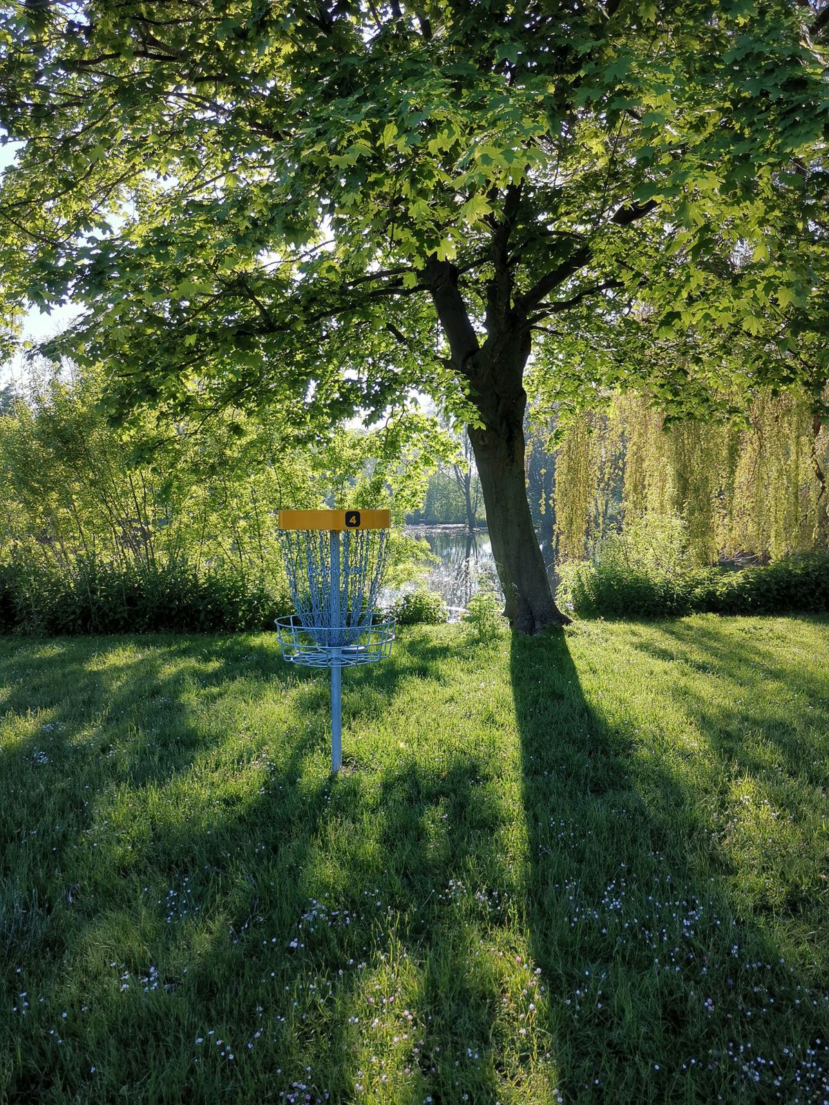 Basket of hole 4