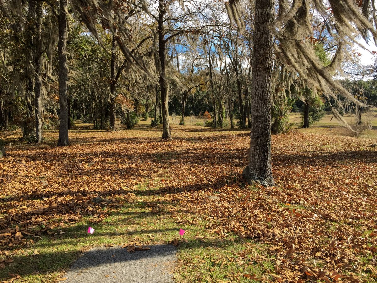 Hole 7