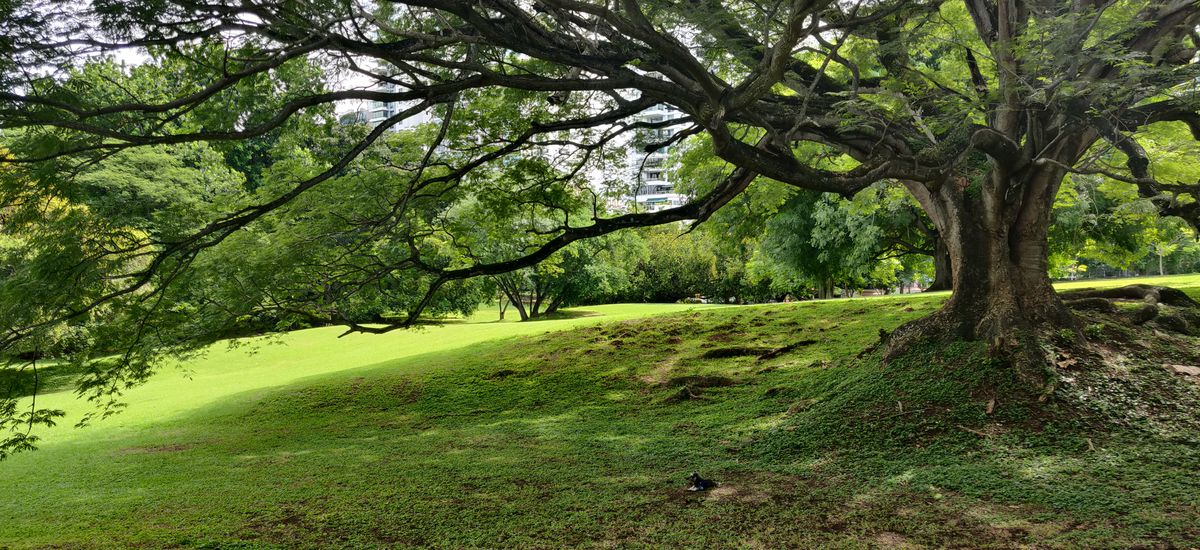 Parque Omar DG Course
Hole 5 Tee