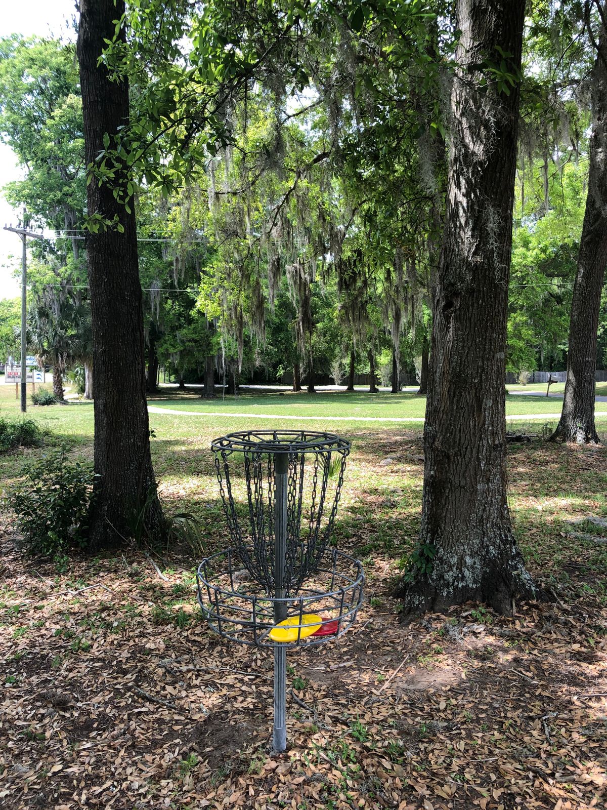 Hole 8, basket to tee