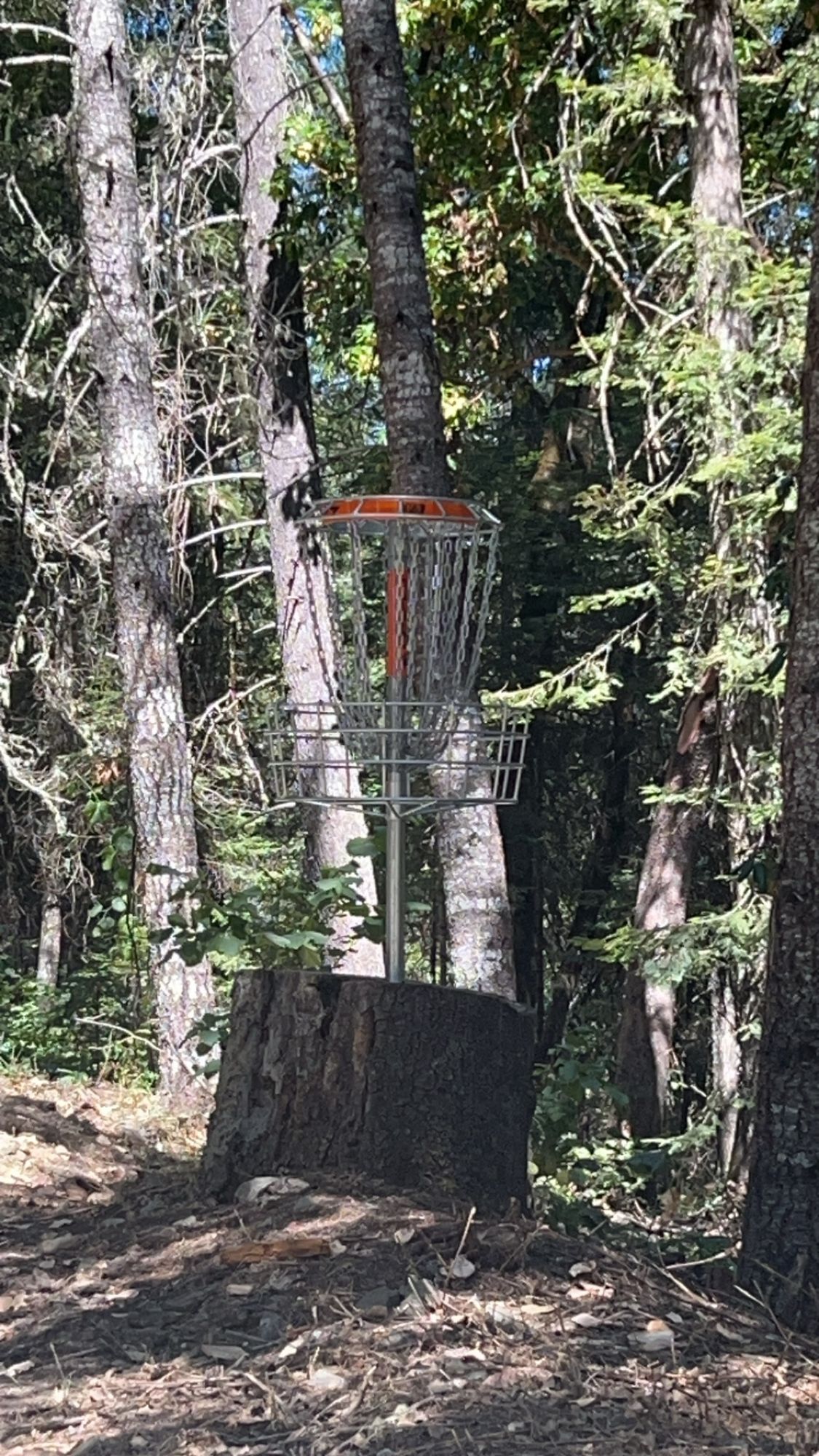 Hole 15