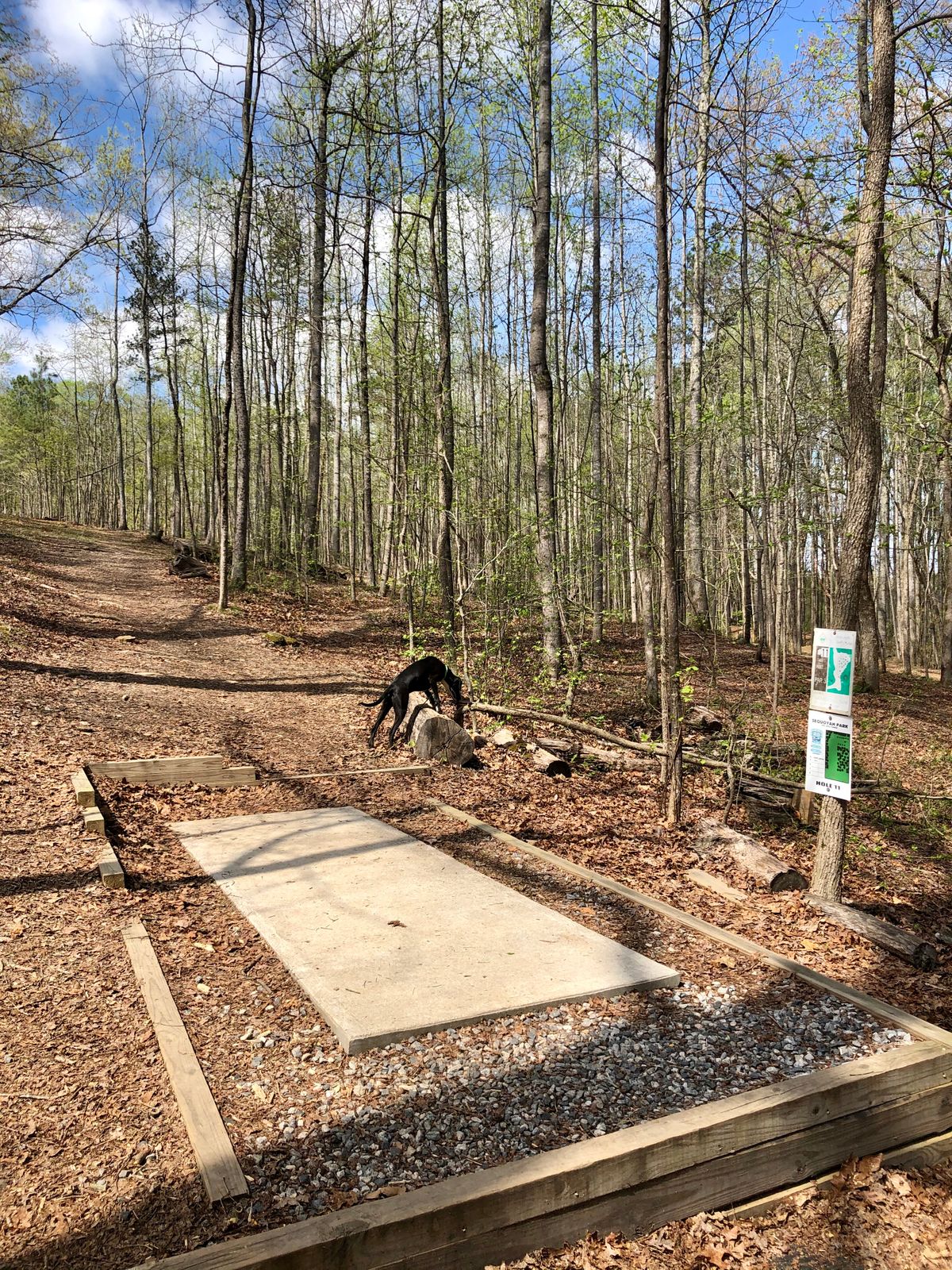 Tee 11