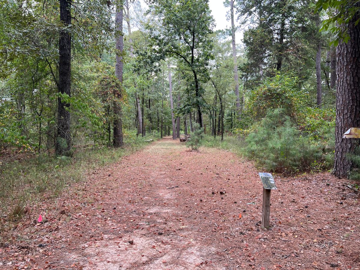 Hole 9 tee