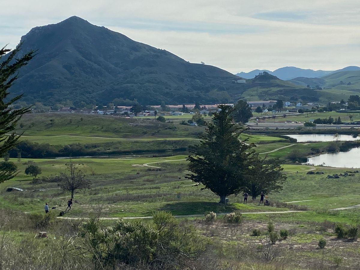 Hole 7 Tee