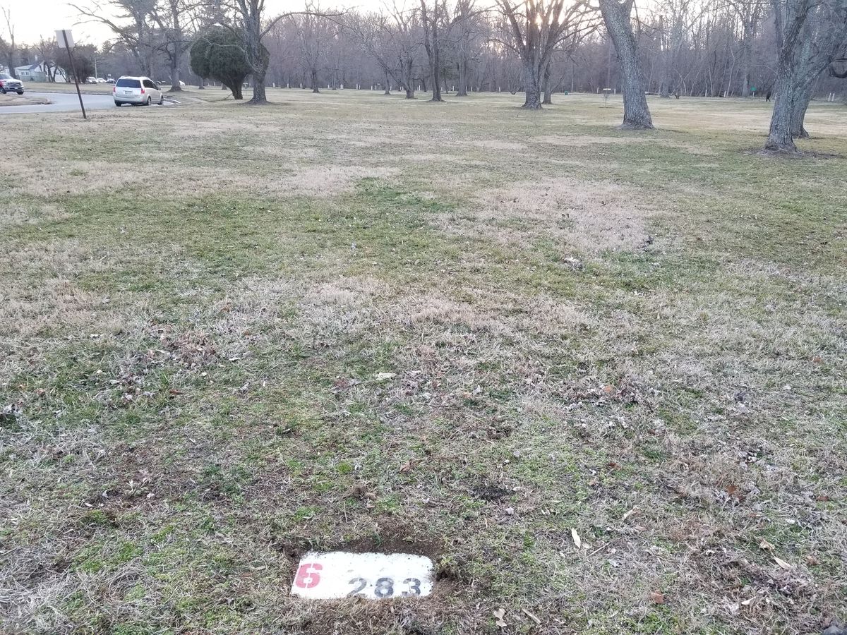 Tee 6