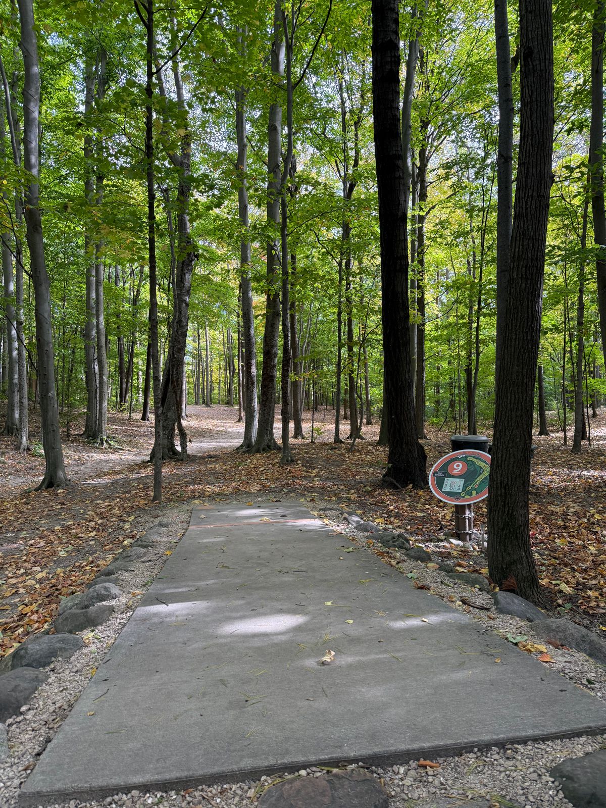Hole 9