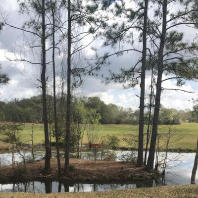 Couldn’t believe I par’d this hole!