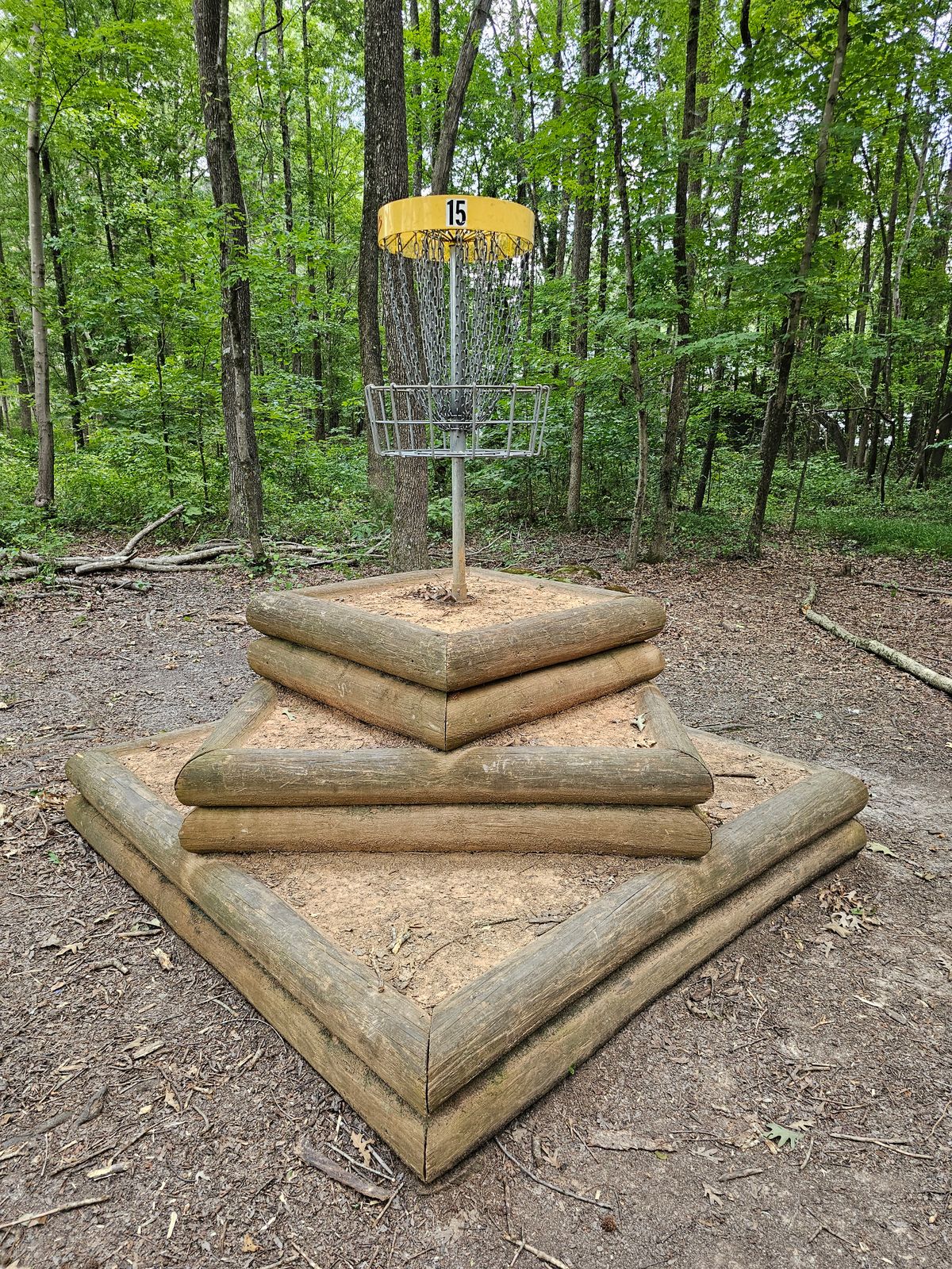 Hole 15's elevated basket