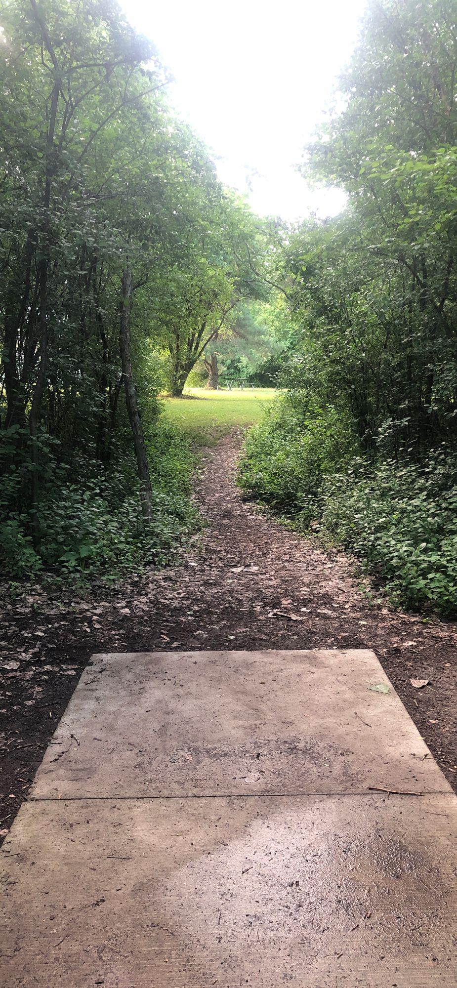 Hole 3 (Longs)