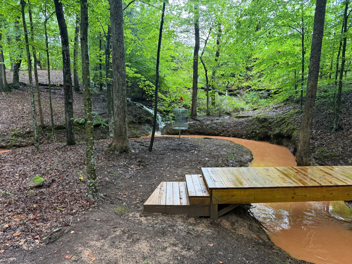 Hole 7 Green