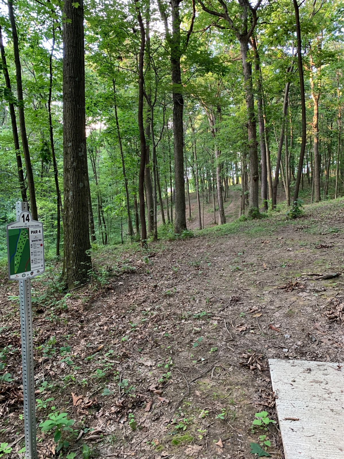 Hole 14 white tee
