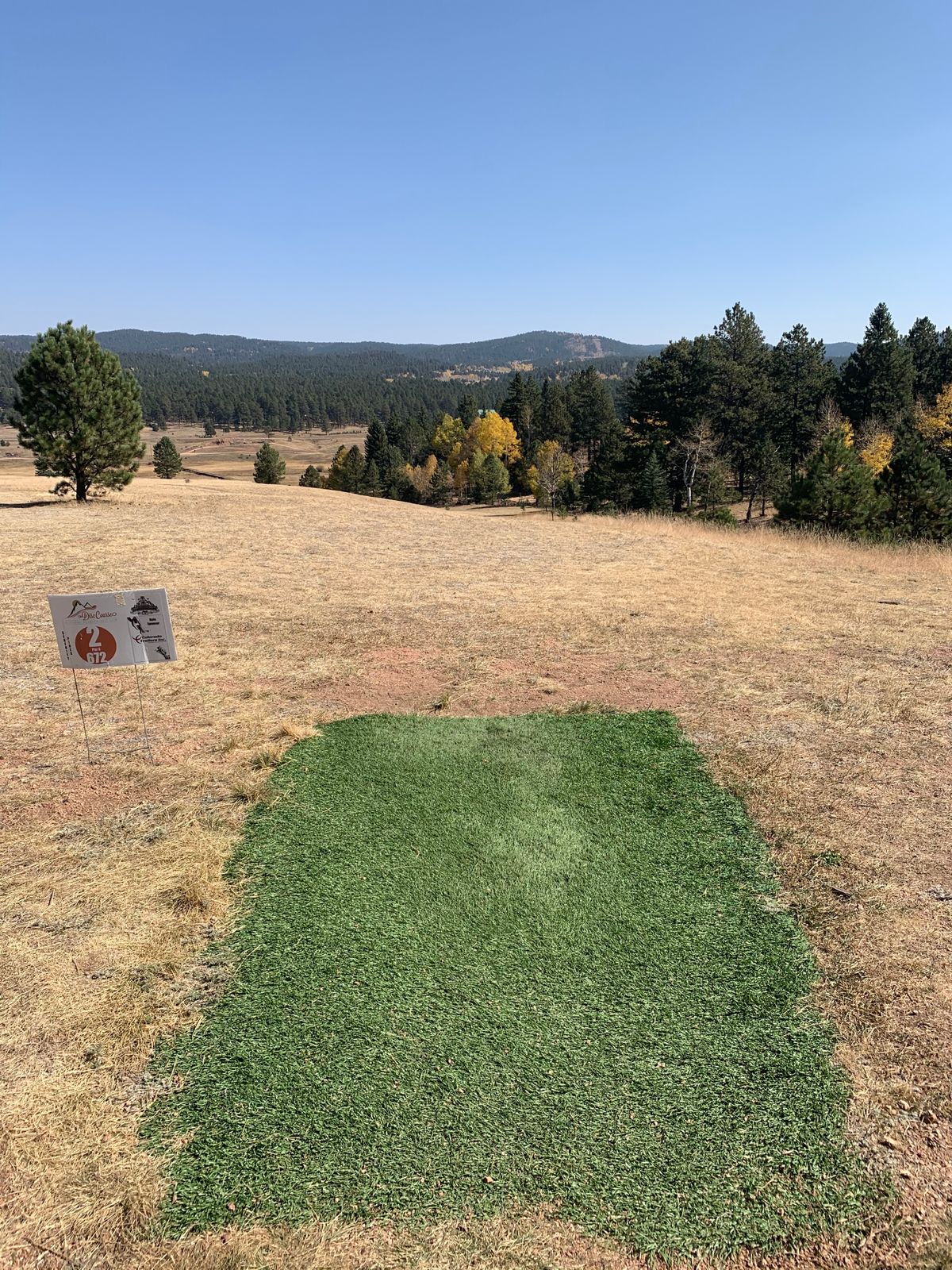Tee pad 2