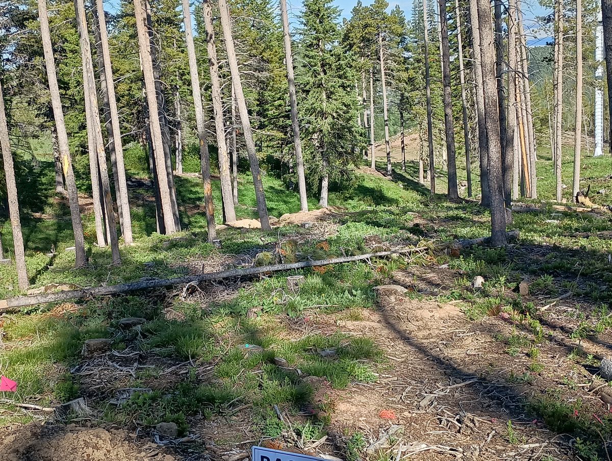 Hole 13