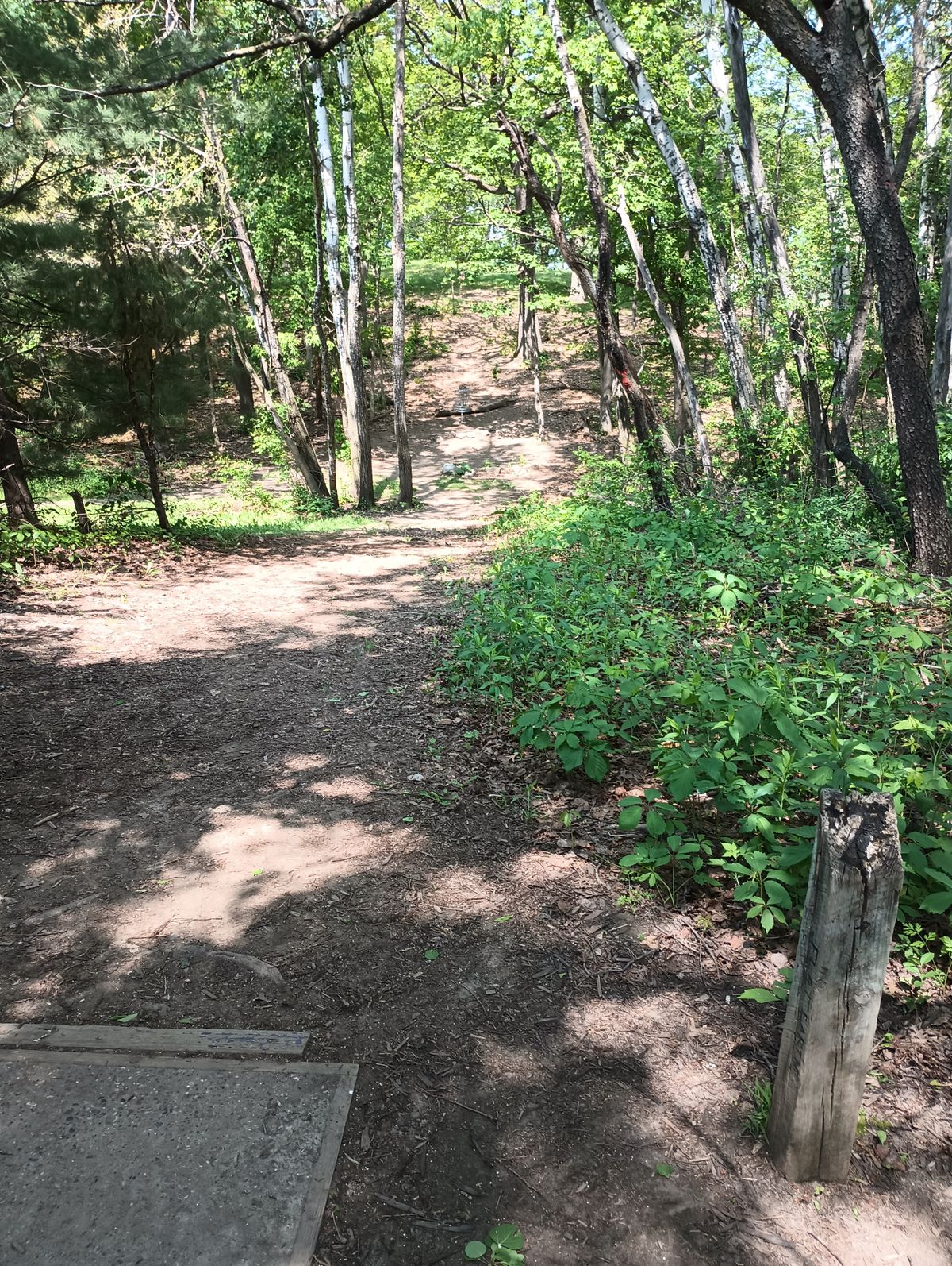 Seven from the tee. A very pretty little hole.