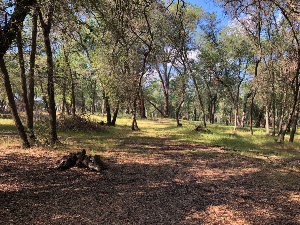 Hole 3
