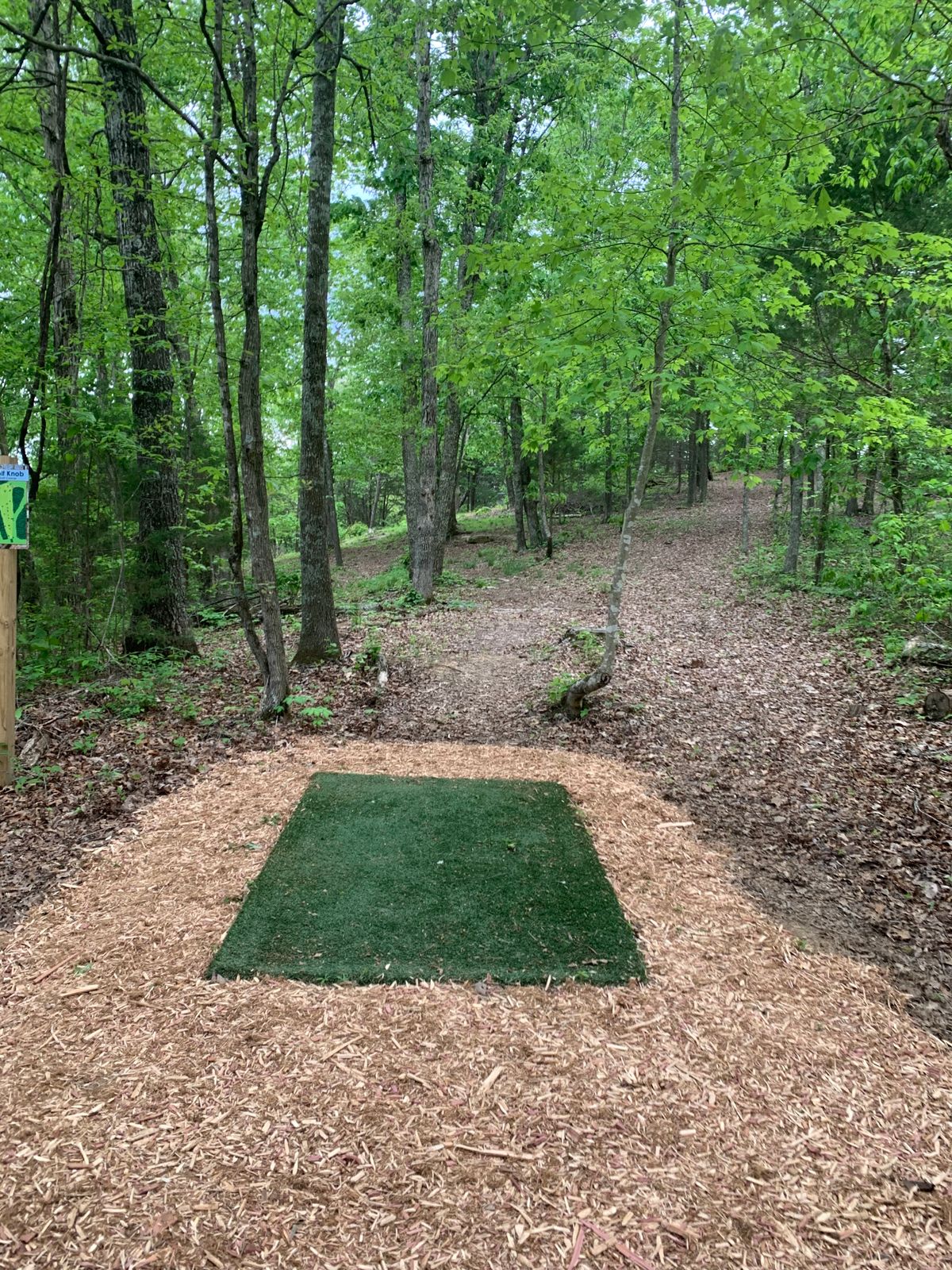 Hole #11
