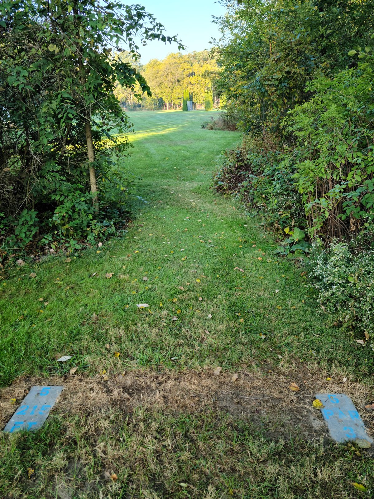 Tee 5