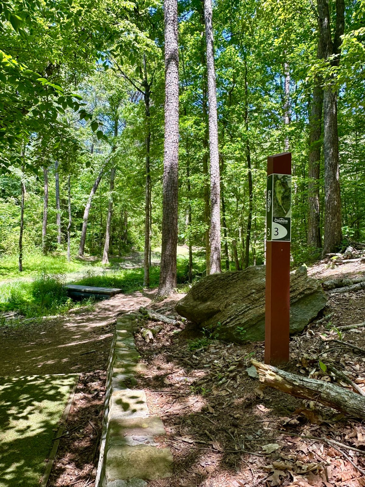 Hole 3