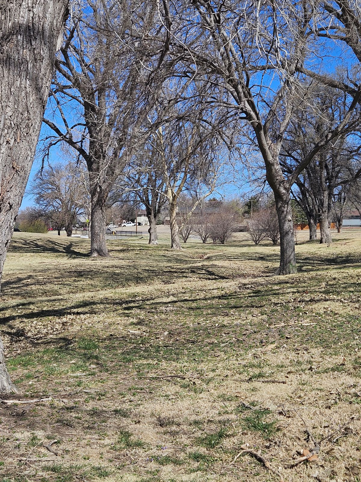#2 fairway