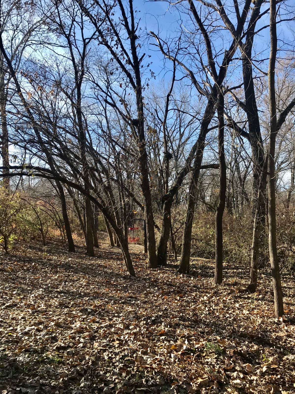 Hole 10 Approach