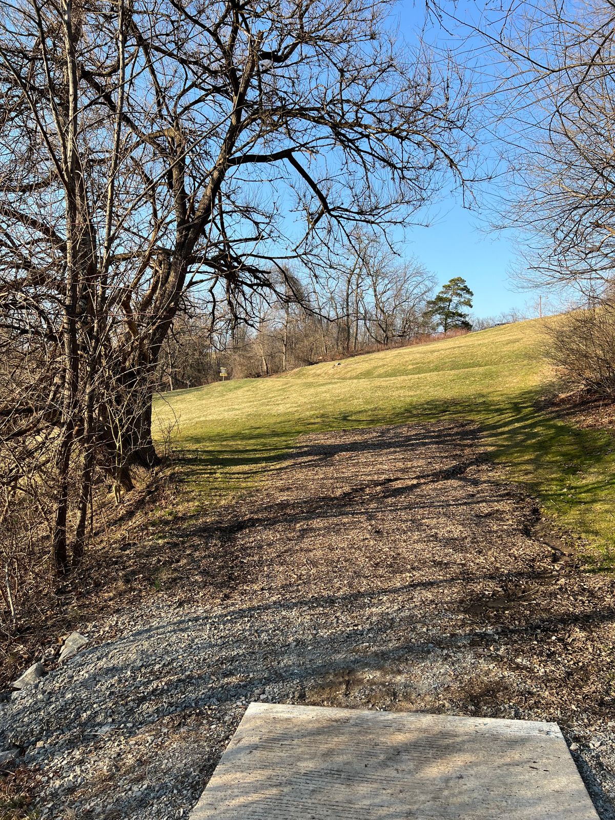 Hole 8 - Whites