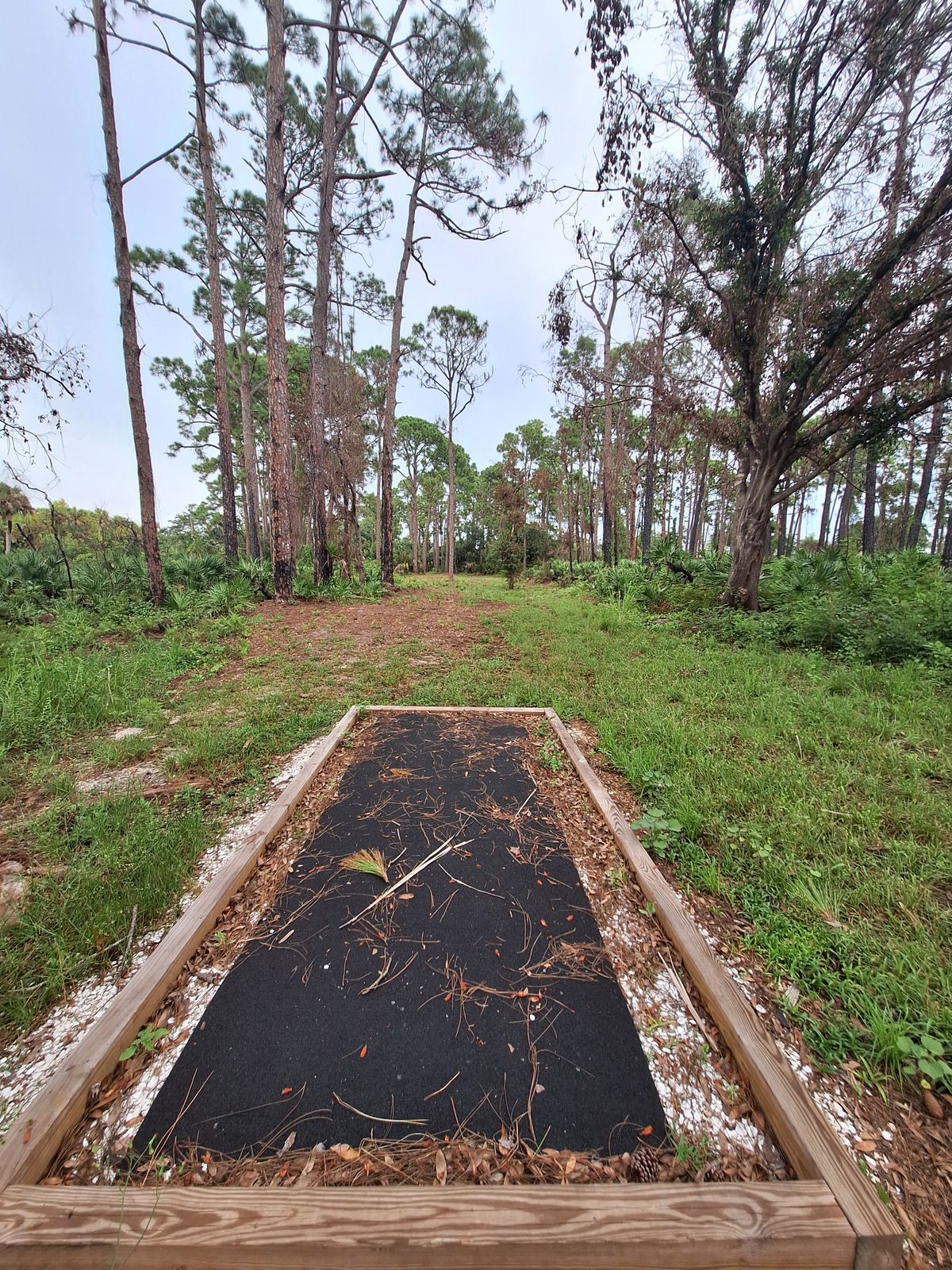 Hole 2 tee pad