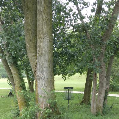 Hole 5 guarded basket.