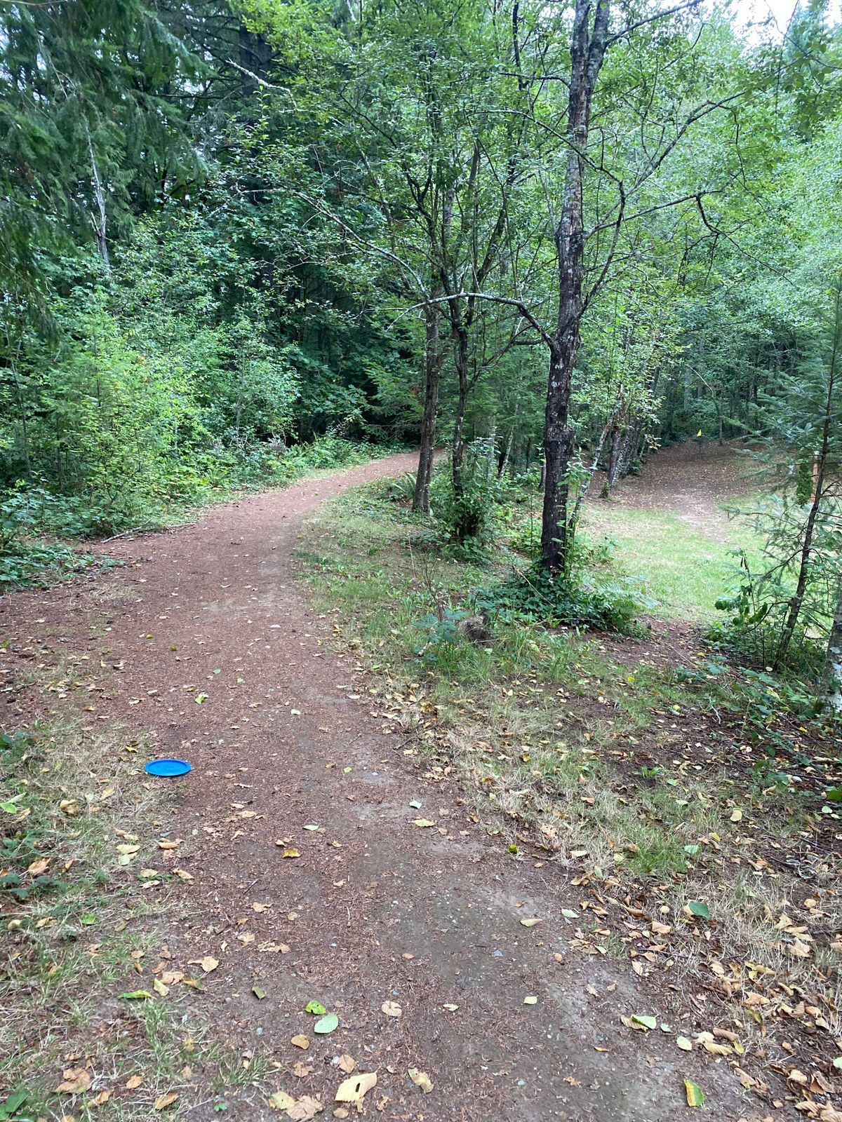Hole 1 - Fairway