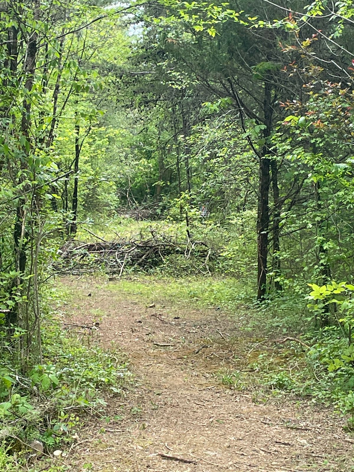 Route a with basket to the right of tight wooded fairway before pipeline clearing