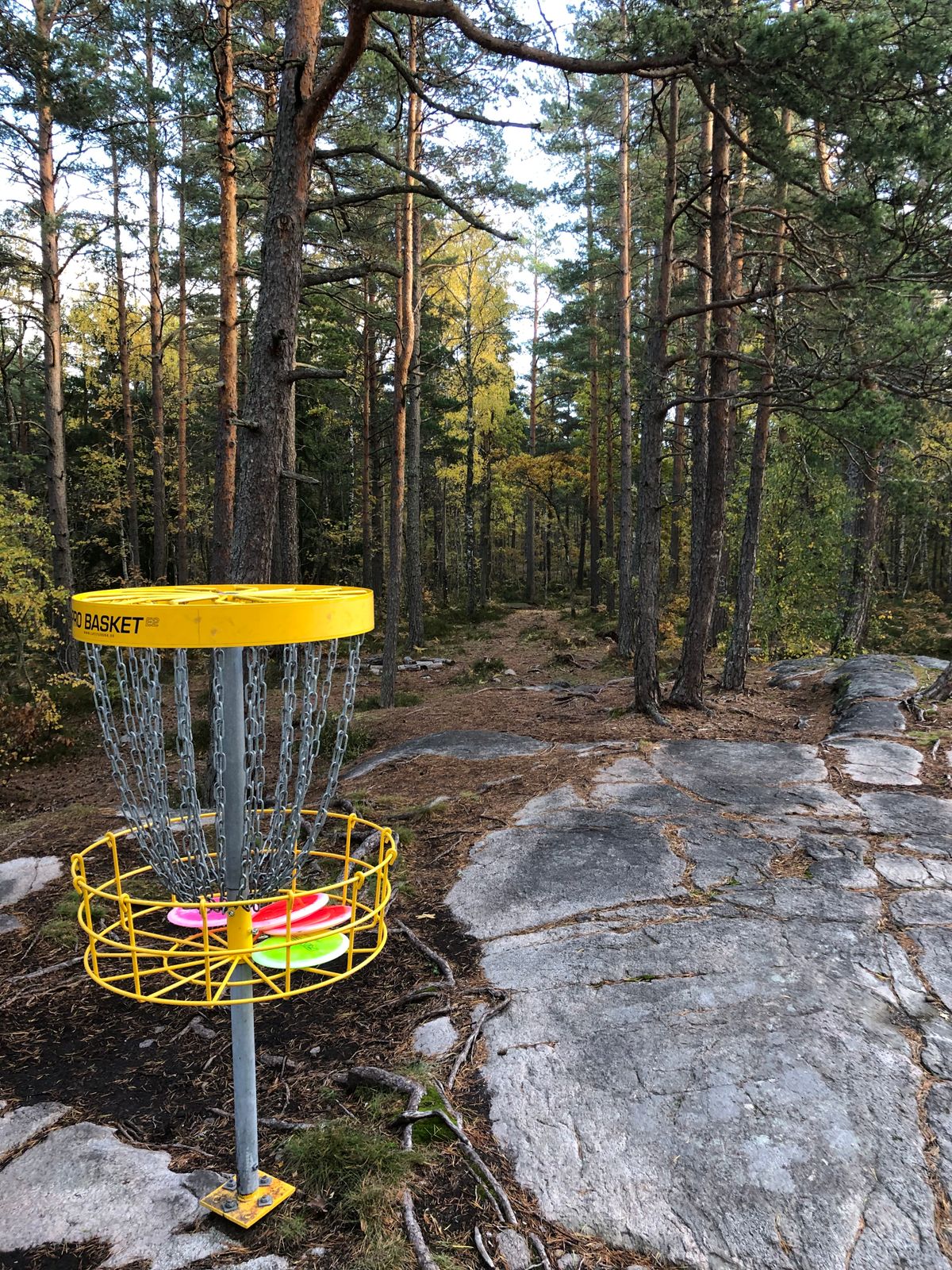 8a